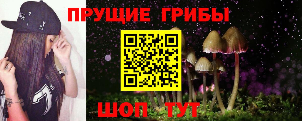 Псилоцибиновые грибы Psilocybine cubensis  Вход с VPN  Сызрань  Псилоцибиновые грибы мицелий 